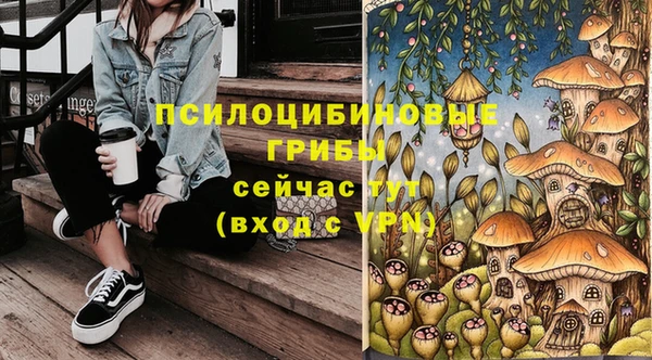 бошки Нязепетровск