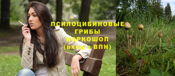 мескалин Новозыбков