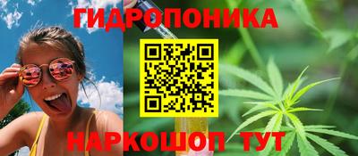 индика Заводоуковск