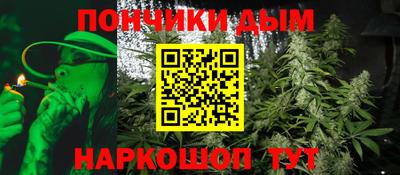 индика Заводоуковск