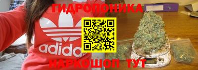 индика Заводоуковск