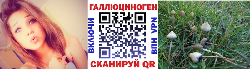даркнет сайт  Ульяновск  Галлюциногенные грибы мухоморы 