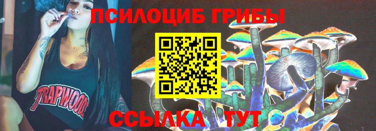 Ульяновск  Галлюциногенные грибы Psilocybine cubensis  Вход с VPN 